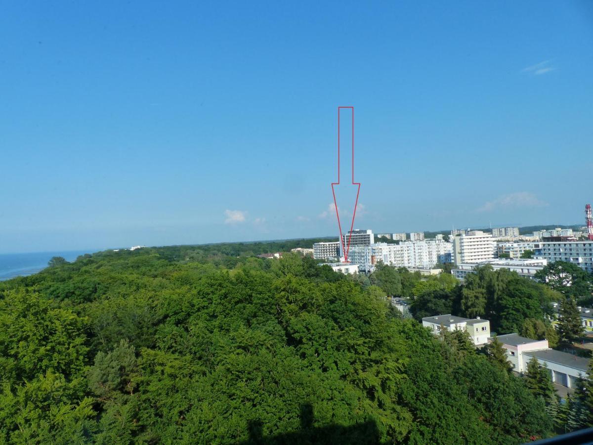 Apartament Promenada Park コウォブジェク エクステリア 写真